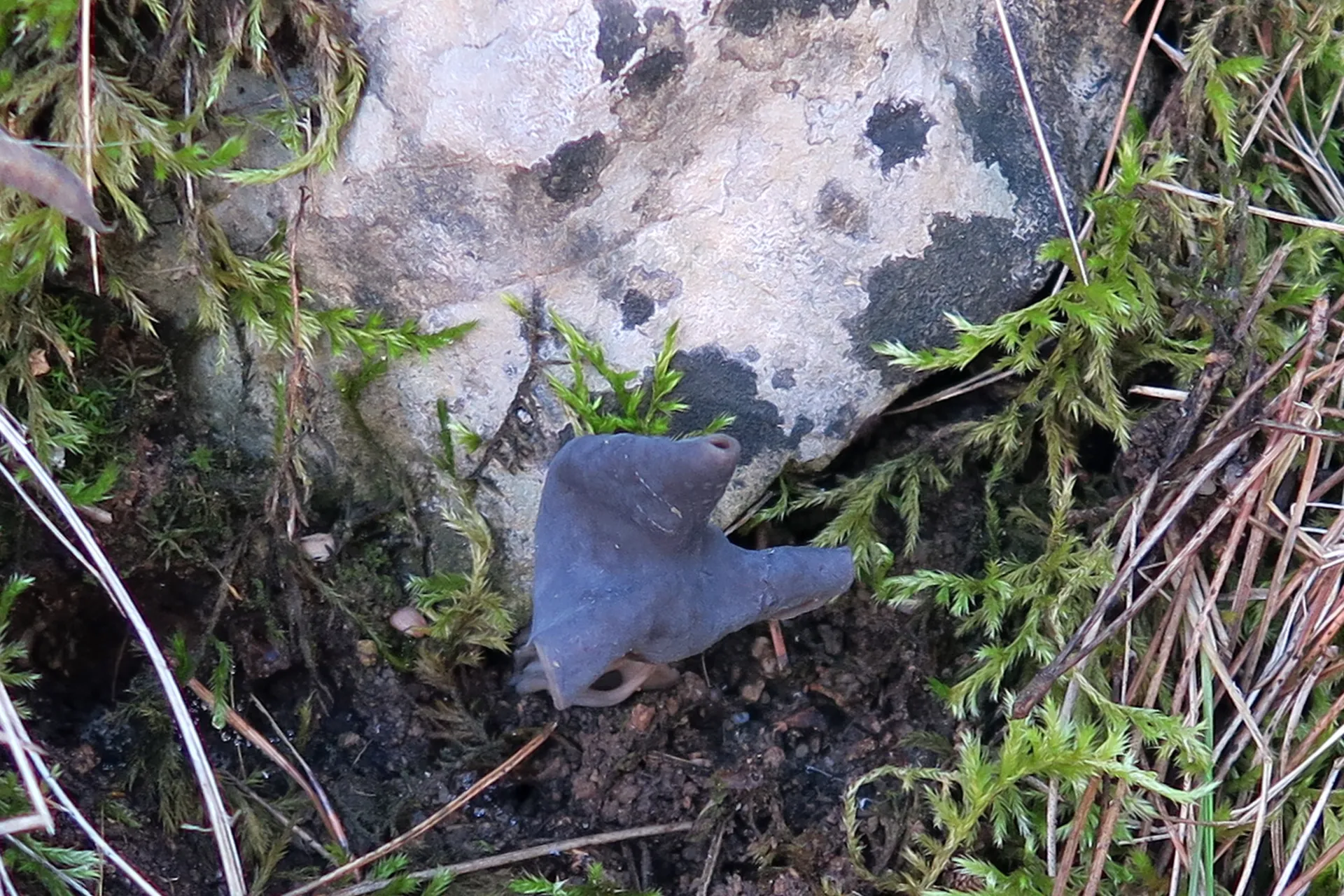 1 -